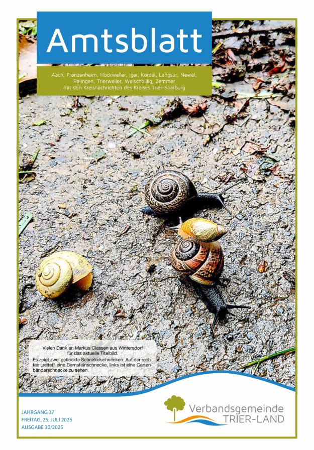 Amtsblatt VG Trier-Land Titelblatt 30/2025