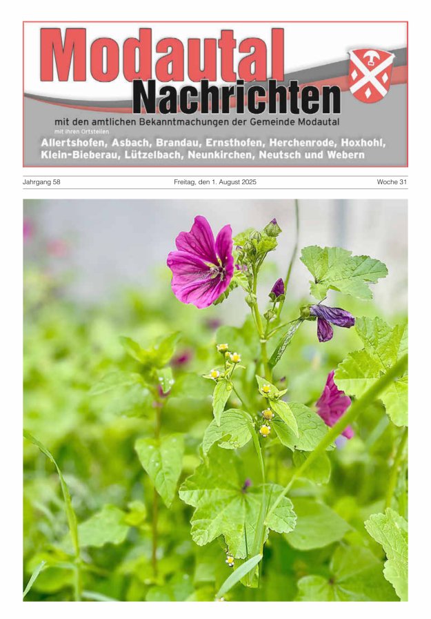 Modautal-Nachrichten Titelblatt 31/2025