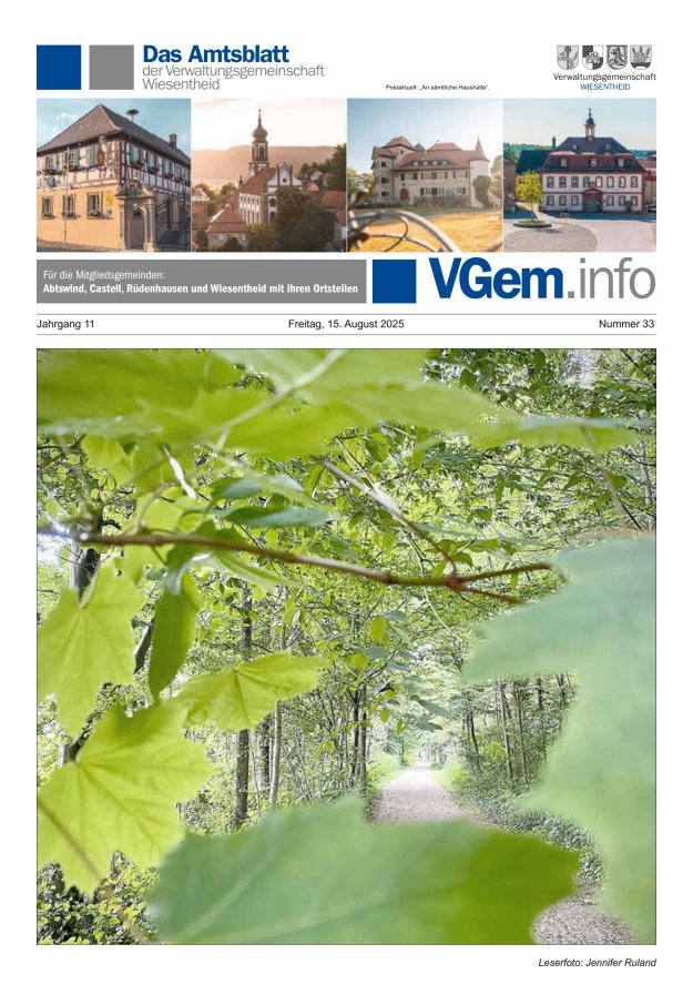 Wiesentheid Titelblatt 33/2025