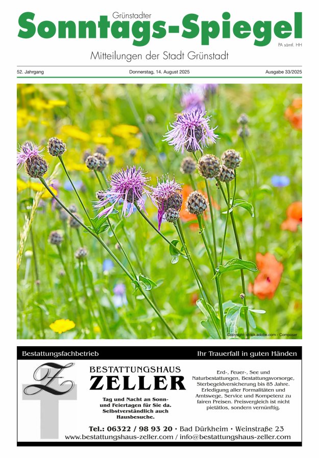 Grünstadter Sonntags-Spiegel Titelblatt 33/2025