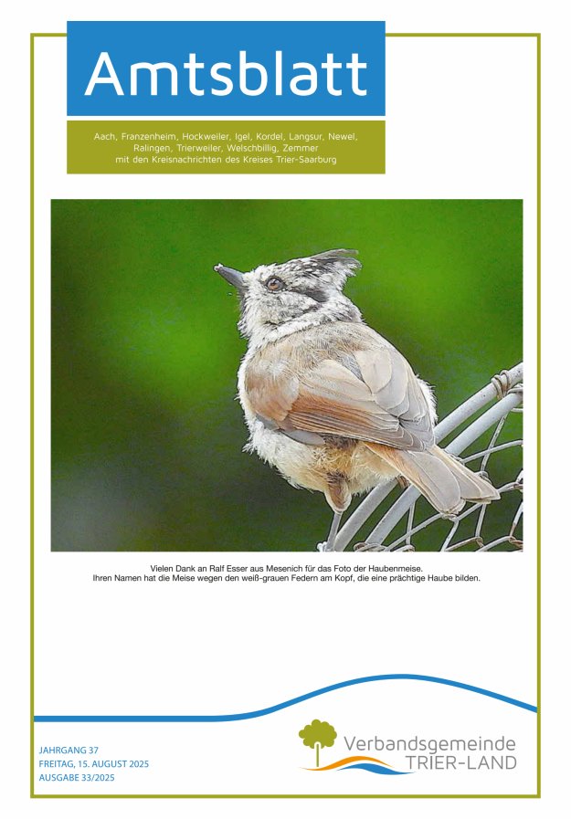 Amtsblatt VG Trier-Land Titelblatt 33/2025