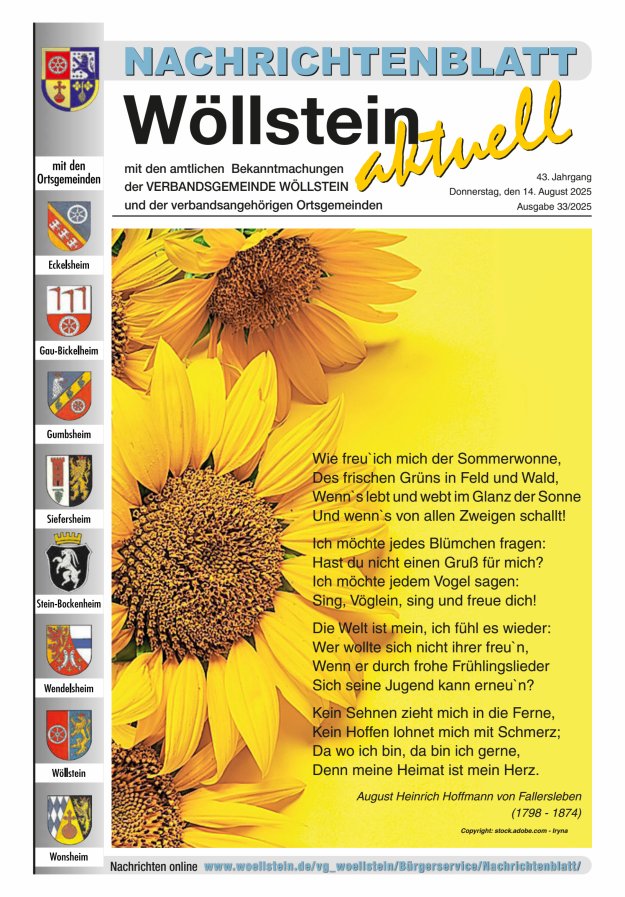 Nachrichtenblatt Wöllstein aktuell Titelblatt 33/2025