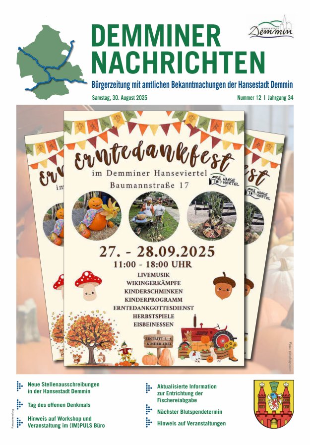 Demminer Nachrichten Titelblatt 12/2025
