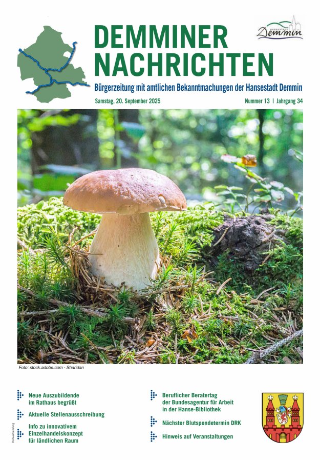 Demminer Nachrichten Titelblatt 13/2025