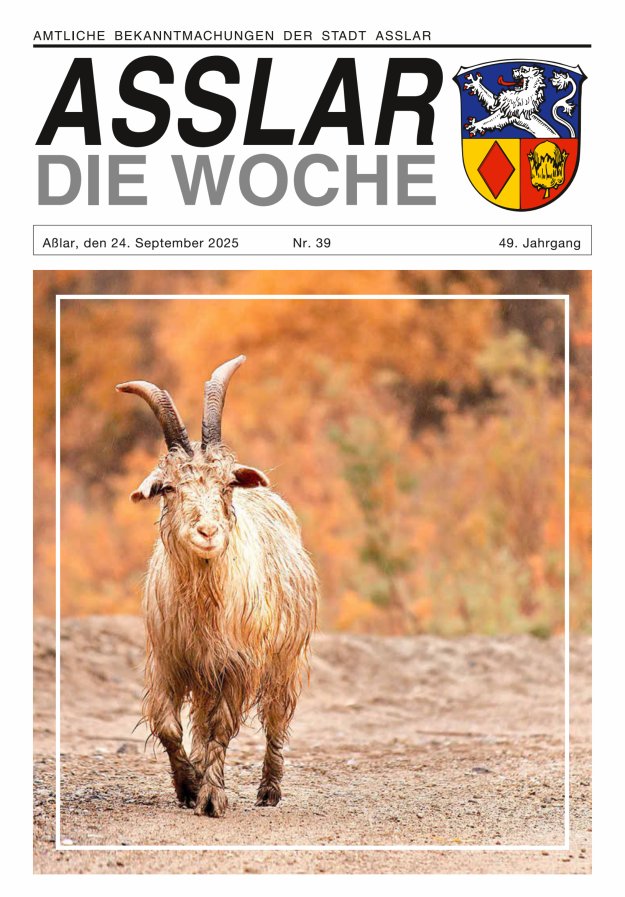 Asslar - Die Woche Titelblatt 39/2025
