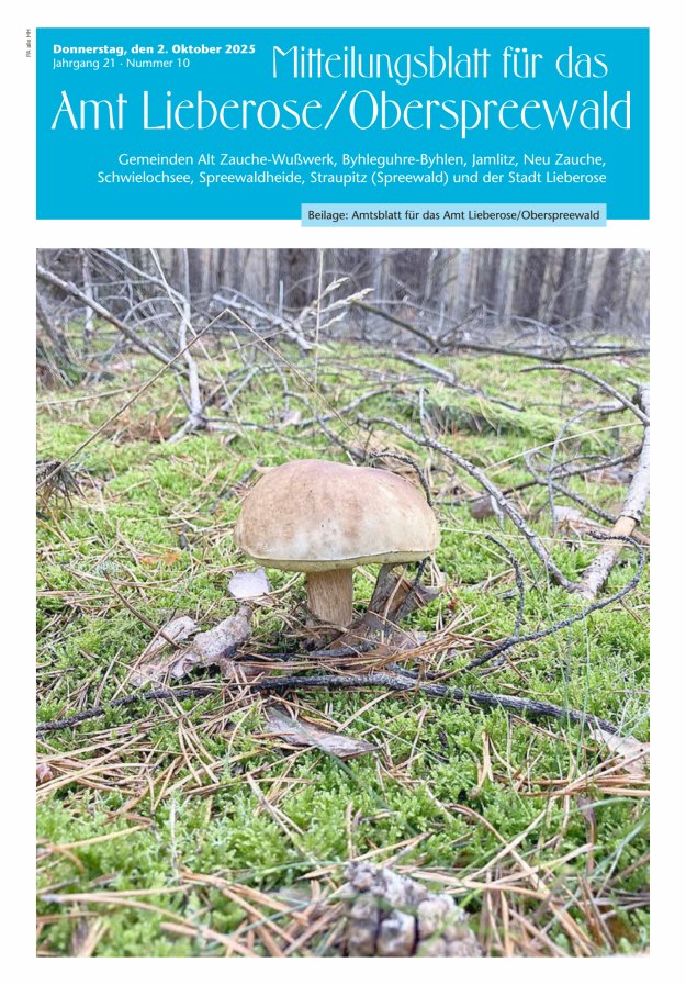 Mitteilungsblatt – Amtsblatt für das Amt Lieberose/Oberspreewald Titelblatt 10/2025