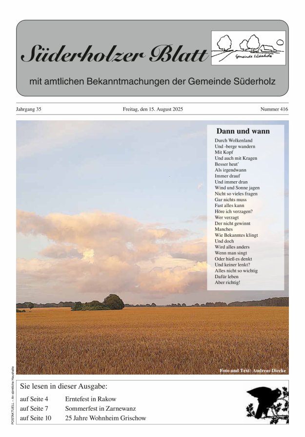 Süderholzer Blatt Titelblatt 416/2025