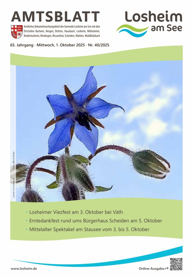 Amtliches Bekanntmachungsblatt der Gemeinde Losheim am See Titelblatt 40/2025
