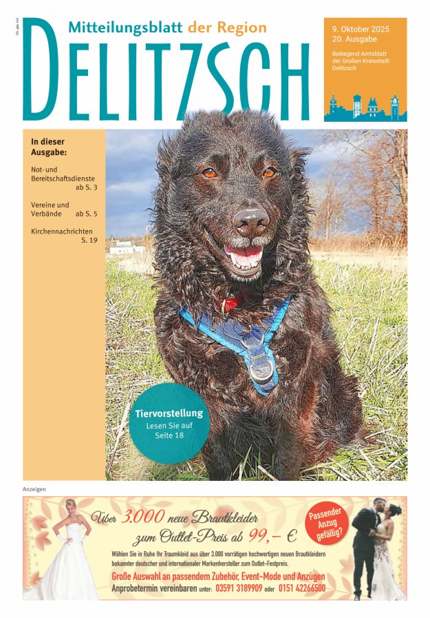 Mitteilungsblatt der Region Delitzsch Titelblatt 20/2025