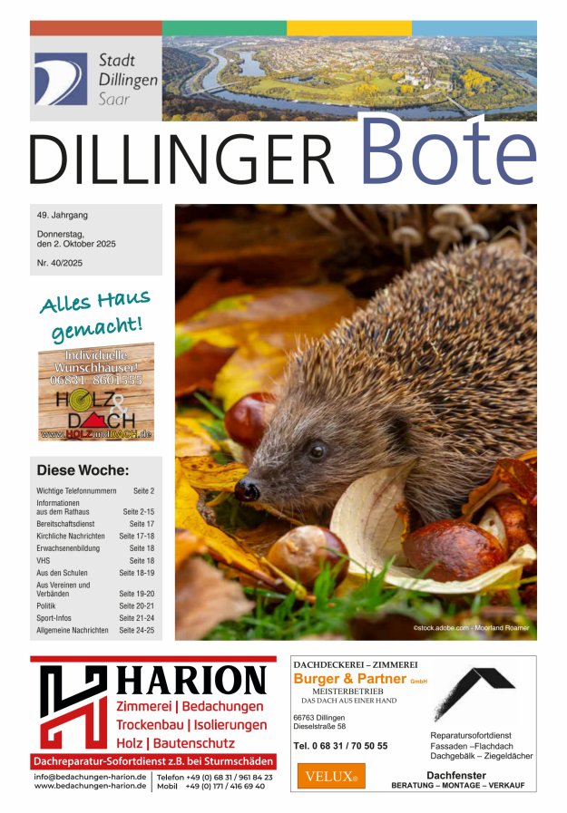 Dillinger Bote Titelblatt 40/2025