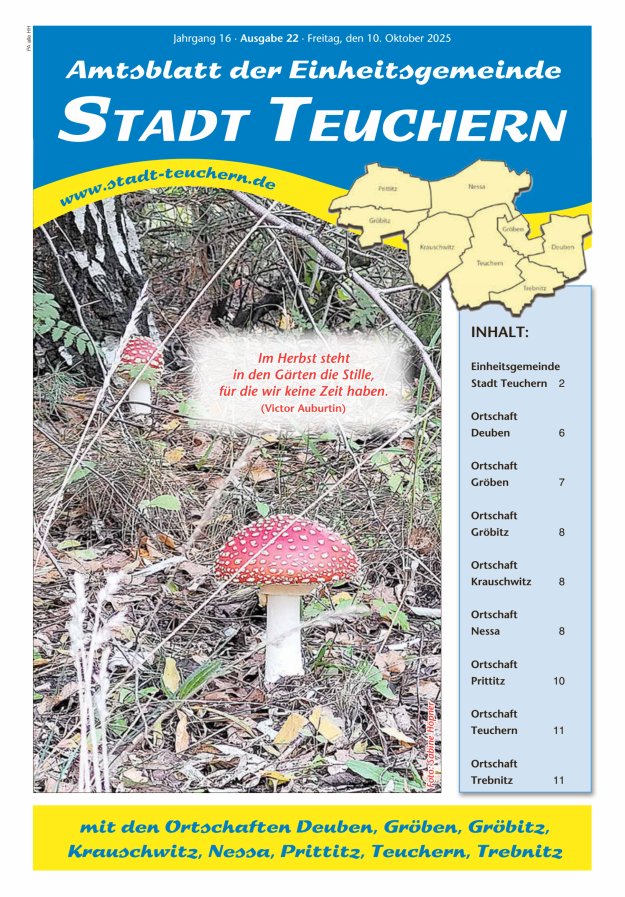 Amtsblatt der Einheitsgemeinde Stadt Teuchern Titelblatt 22/2025