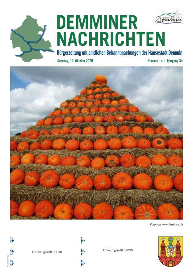 Demminer Nachrichten Titelblatt 14/2025
