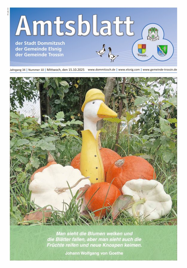 Dommitzsch Info - Amtsblatt der Stadt Dommitzsch der Gemeinden Elsnig und Trossin Titelblatt 10/2025