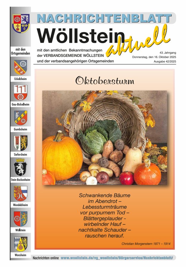 Nachrichtenblatt Wöllstein aktuell Titelblatt 42/2025