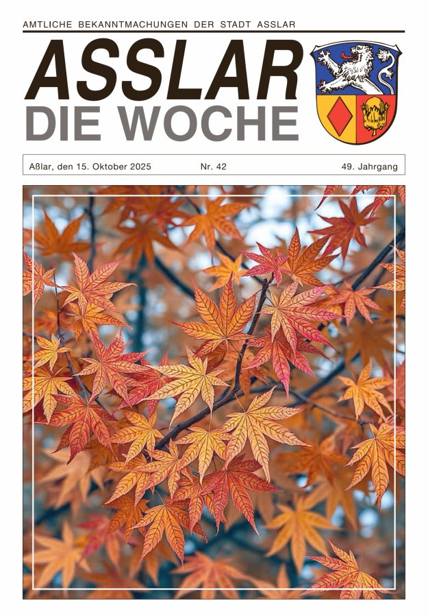 Asslar - Die Woche Titelblatt 42/2025