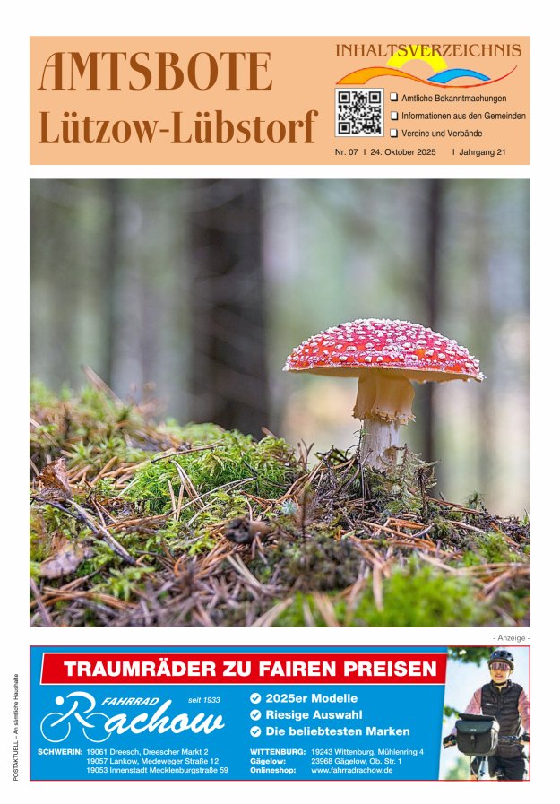 Amtsbote Lützow-Lübstorf Titelblatt 07/2025