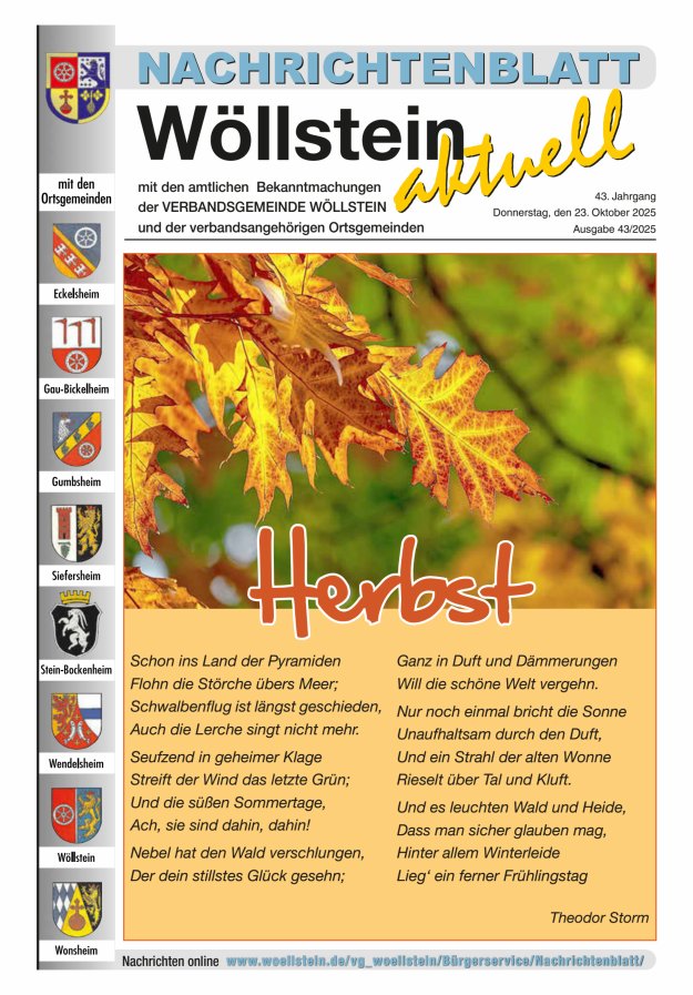 Nachrichtenblatt Wöllstein aktuell Titelblatt 43/2025