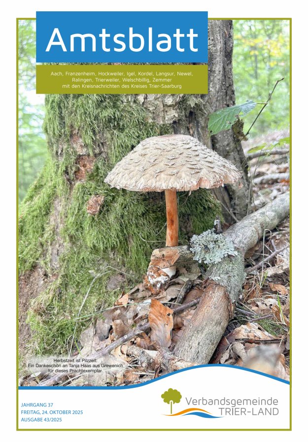 Amtsblatt VG Trier-Land Titelblatt 43/2025