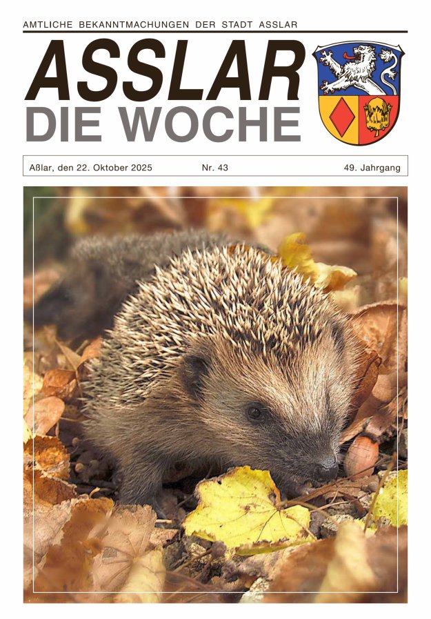 Asslar - Die Woche Titelblatt 43/2025