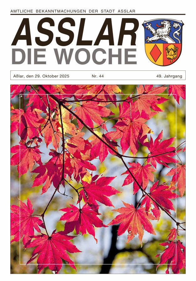Asslar - Die Woche Titelblatt 44/2025