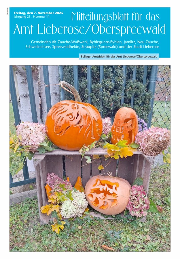 Mitteilungsblatt – Amtsblatt für das Amt Lieberose/Oberspreewald Titelblatt 11/2025