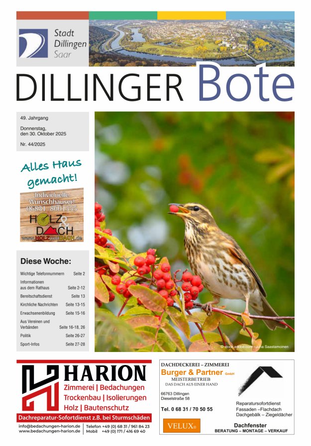 Dillinger Bote Titelblatt 44/2025