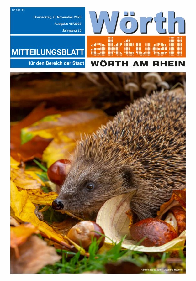 Wörth aktuell Titelblatt 45/2025