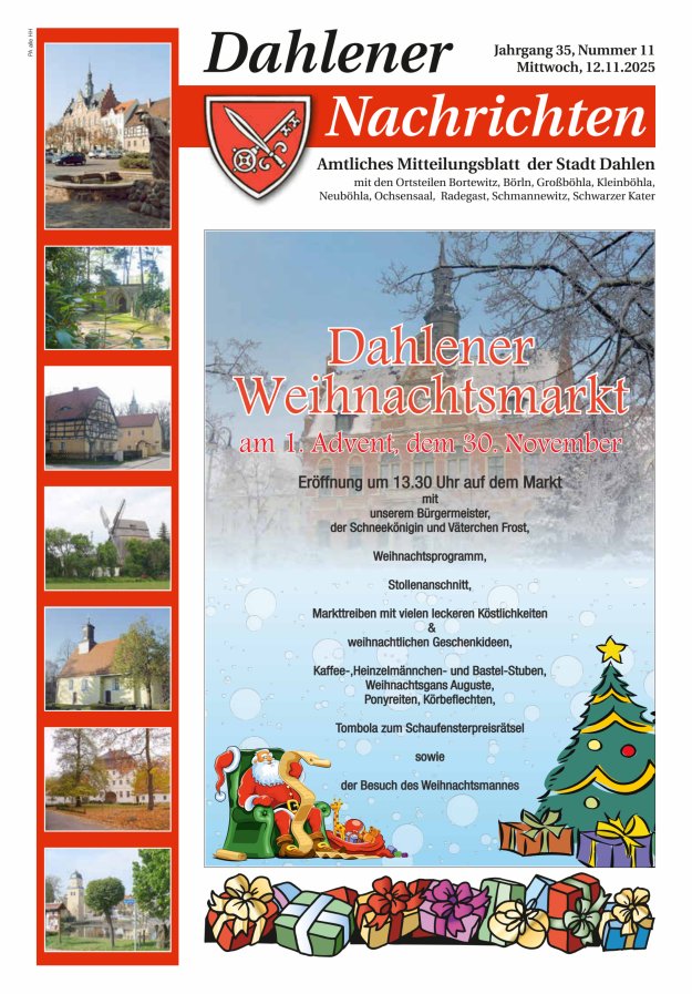 Dahlener Nachrichten - Amtliches Mitteilungsblatt der Stadt Dahlen Titelblatt 11/2025