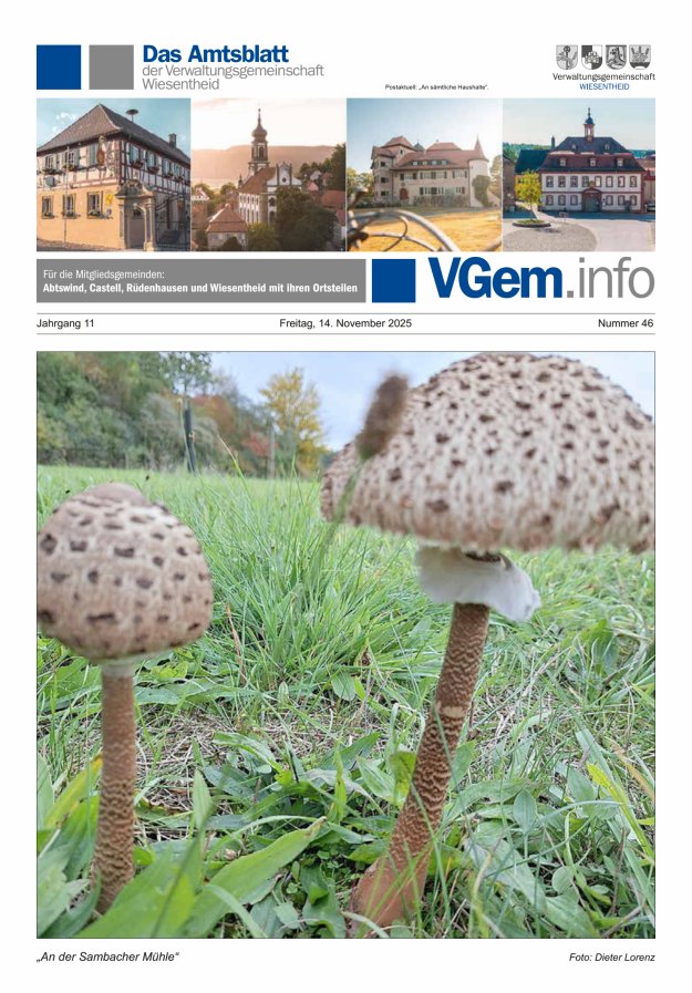 Wiesentheid Titelblatt 46/2025