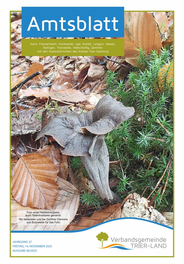 Amtsblatt VG Trier-Land Titelblatt 46/2025