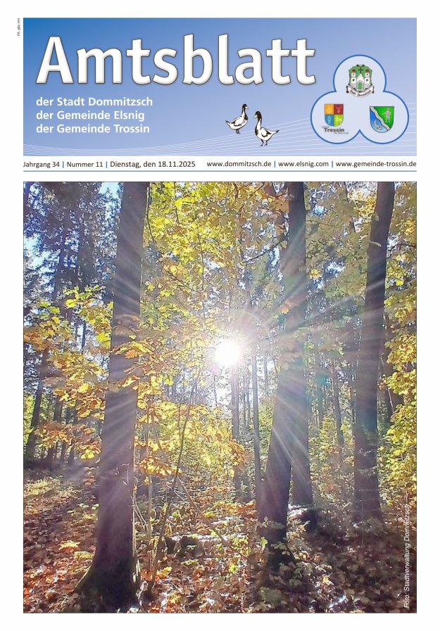 Dommitzsch Info - Amtsblatt der Stadt Dommitzsch der Gemeinden Elsnig und Trossin Titelblatt 11/2025