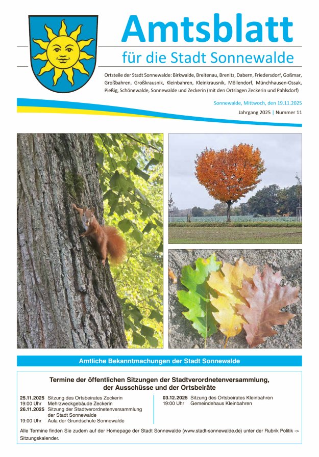 Amtsblatt für die Stadt Sonnewalde Titelblatt 11/2025