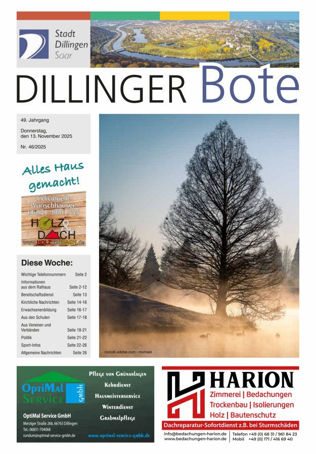 Dillinger Bote Titelblatt 46/2025