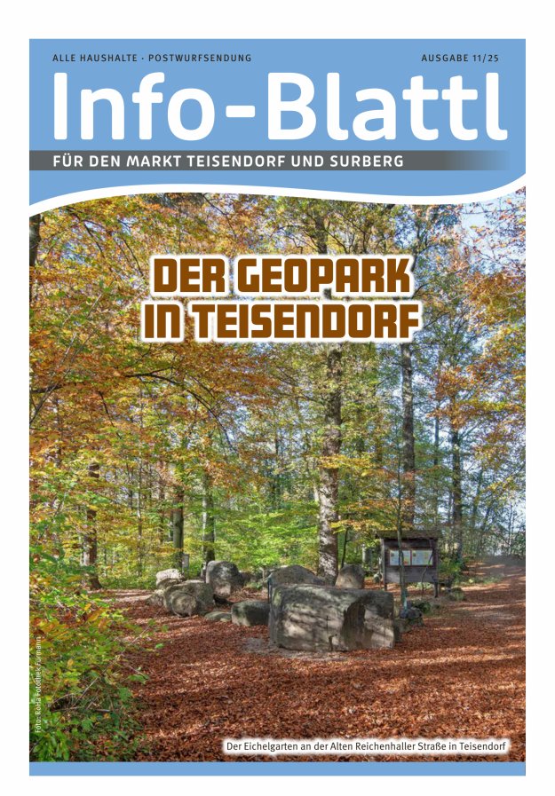 Infoblattl Teisendorf Titelblatt 11/2025