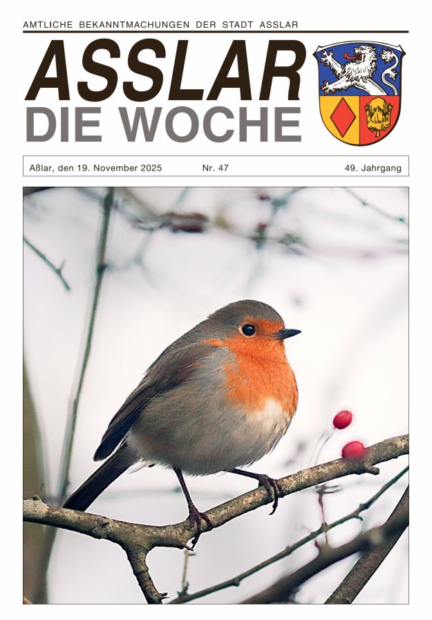 Asslar - Die Woche Titelblatt 47/2025