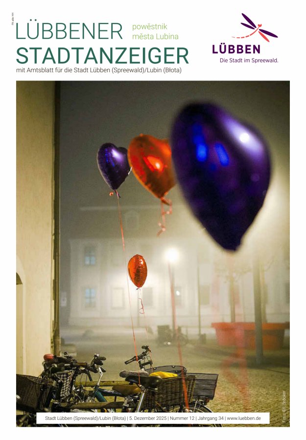 Lübbener Stadtanzeiger mit Amtsblatt für die Stadt Lübben (Spreewald) Titelblatt 12/2025