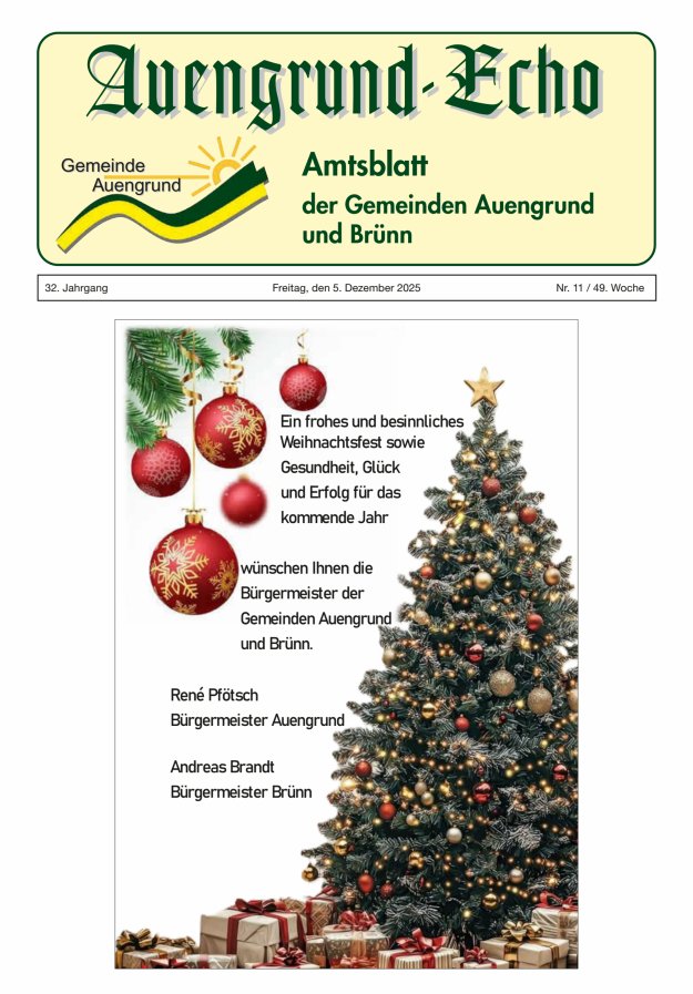 Auengrund-Echo Titelblatt 11/2025