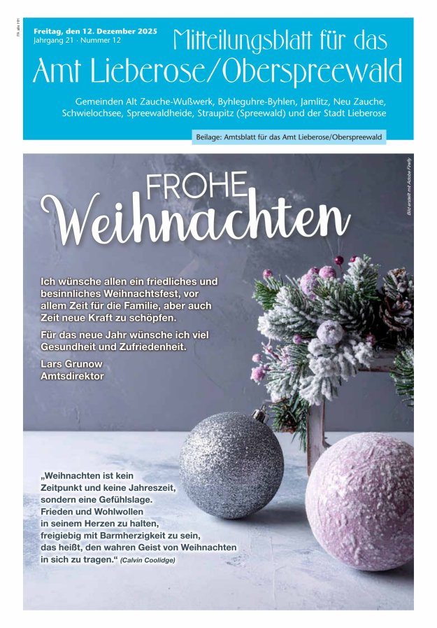 Mitteilungsblatt – Amtsblatt für das Amt Lieberose/Oberspreewald Titelblatt 12/2025