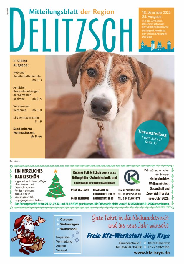 Mitteilungsblatt der Region Delitzsch Titelblatt 25/2025