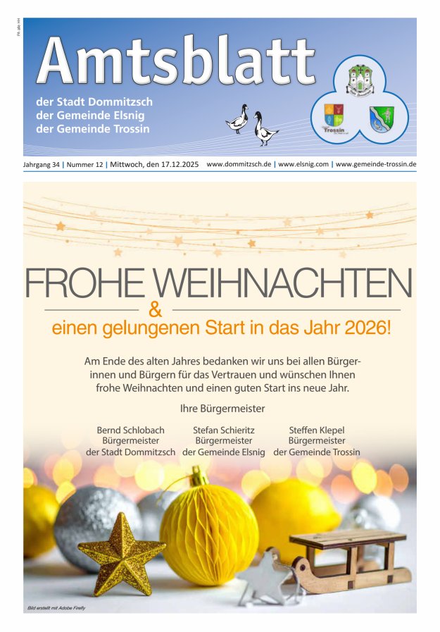 Dommitzsch Info - Amtsblatt der Stadt Dommitzsch der Gemeinden Elsnig und Trossin Titelblatt 12/2025