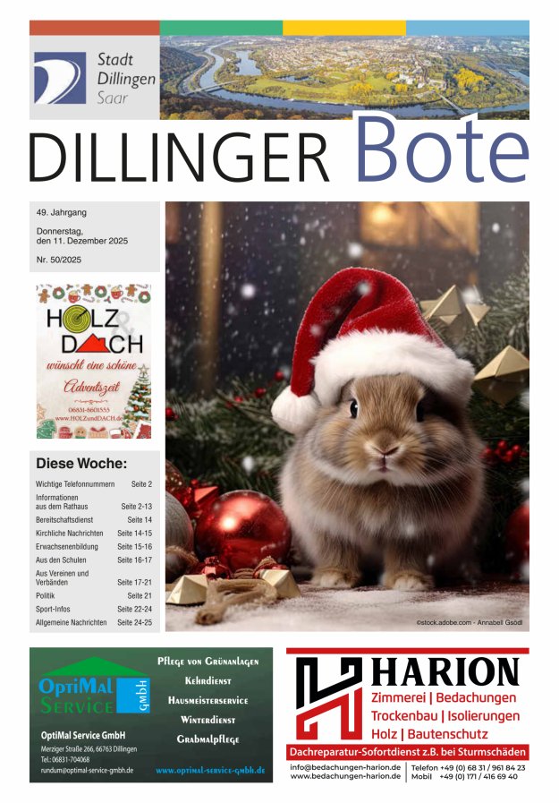 Dillinger Bote Titelblatt 50/2025