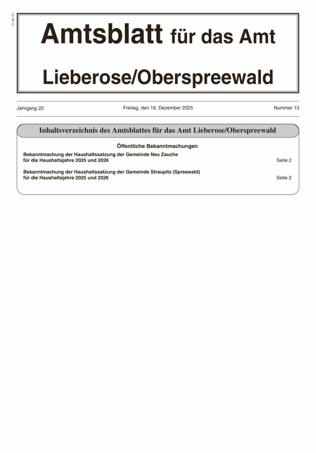 Mitteilungsblatt – Amtsblatt für das Amt Lieberose/Oberspreewald Titelblatt 13/2025