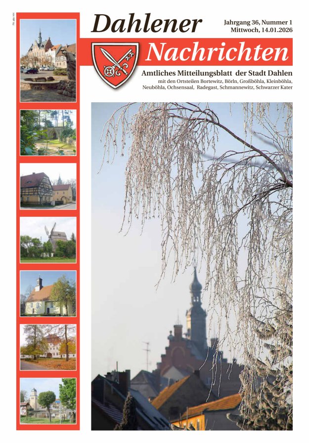 Dahlener Nachrichten - Amtliches Mitteilungsblatt der Stadt Dahlen Titelblatt 01/2026