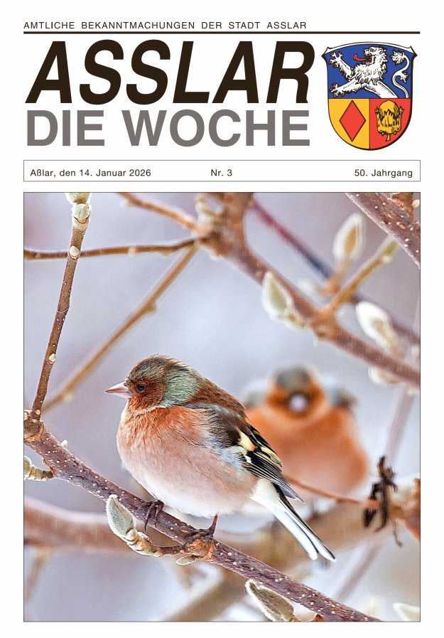 Asslar - Die Woche Titelblatt 03/2026