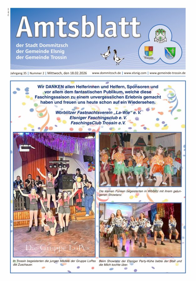 Dommitzsch Info - Amtsblatt der Stadt Dommitzsch der Gemeinden Elsnig und Trossin Titelblatt 02/2026