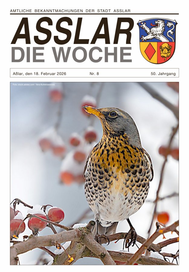 Asslar - Die Woche Titelblatt 08/2026