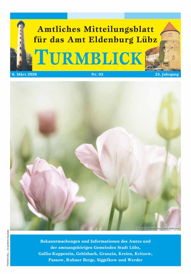 Turmblick Titelblatt 03/2026