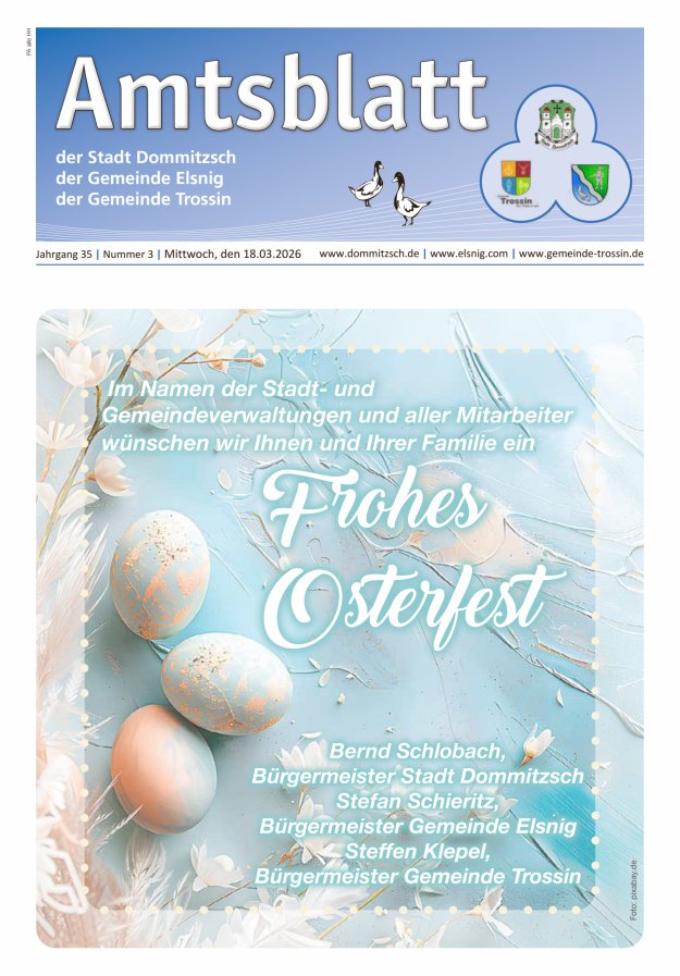 Dommitzsch Info - Amtsblatt der Stadt Dommitzsch der Gemeinden Elsnig und Trossin Titelblatt 03/2026