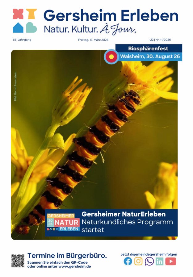 Bekanntmachungsblatt der Gemeinde Gersheim Titelblatt 11/2026