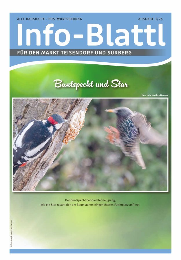 Infoblattl Teisendorf Titelblatt 03/2026